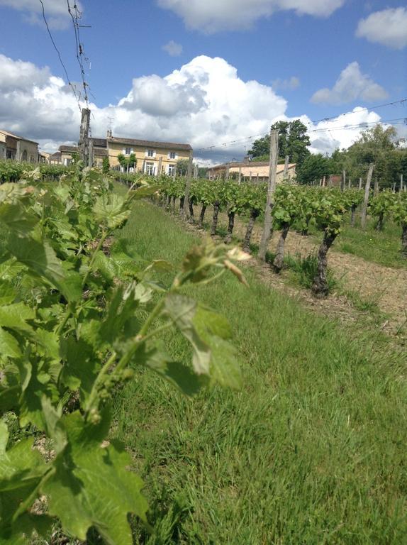 Chateau Nardou Saint-Sulpice-et-Cameyrac Exterior photo